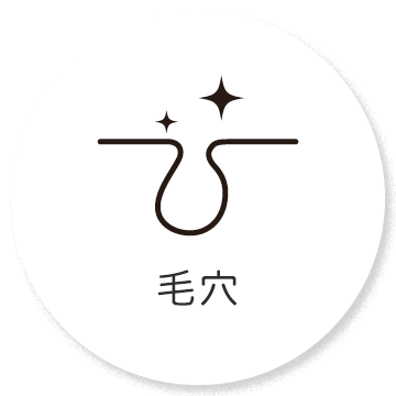 毛穴
