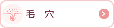 毛穴